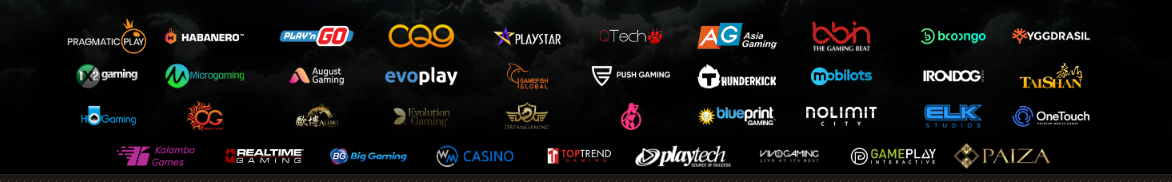 providers